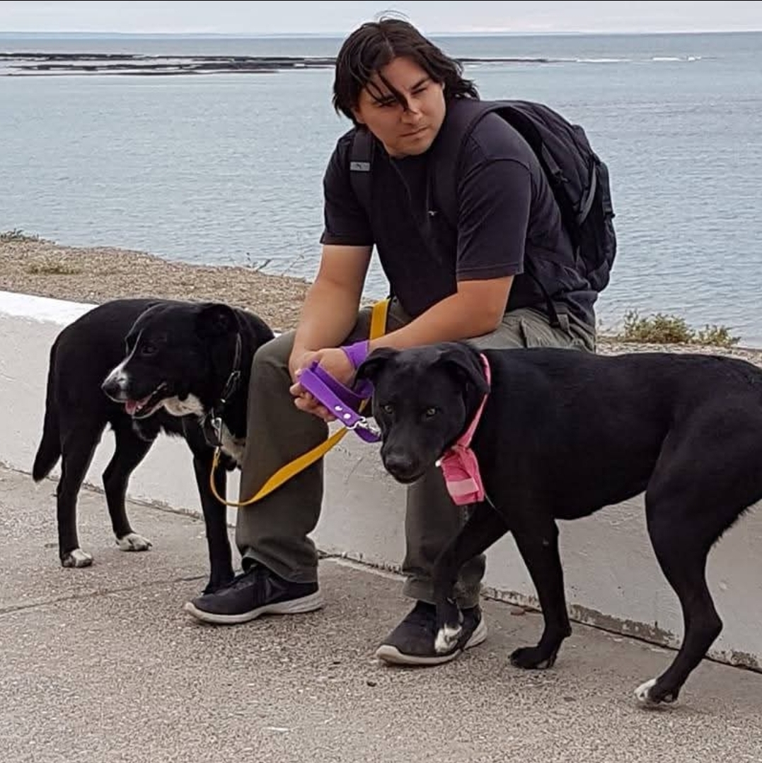 El paseador de Pawtagonia junto a dos perros frente al mar